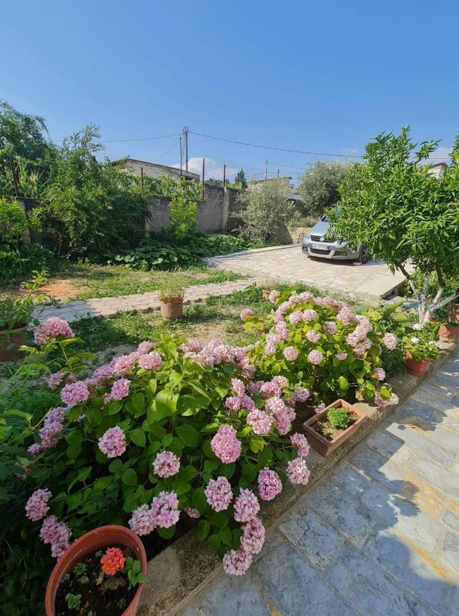 Villa Deart Berat Kültér fotó